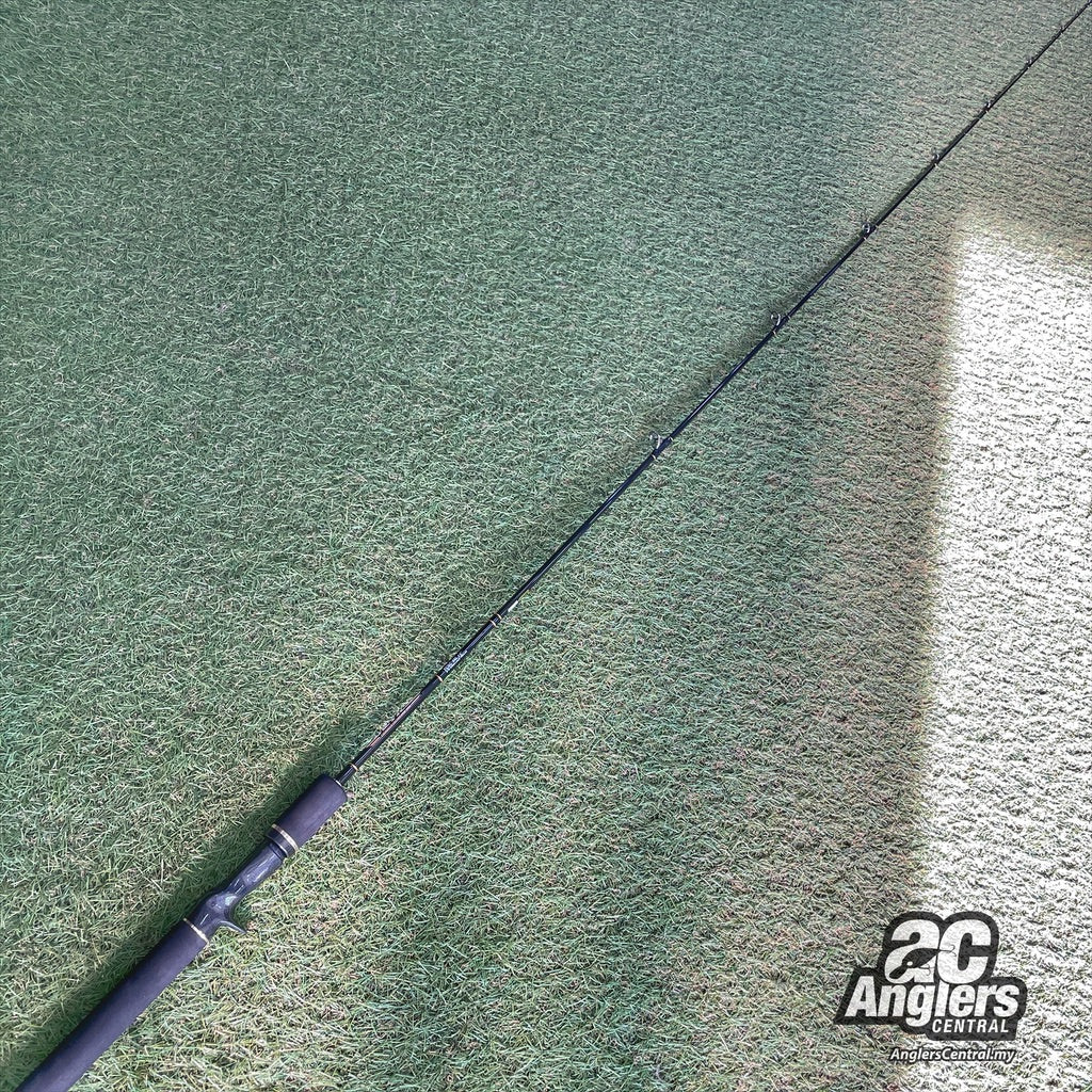 Tactics The Warrior Light TCSC-66L 6-16lb (USED, 9/10)