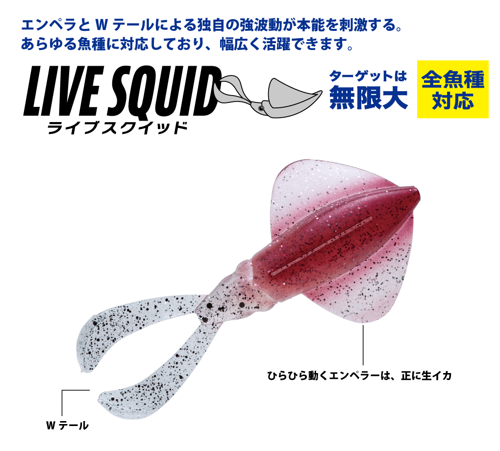 Live Squid